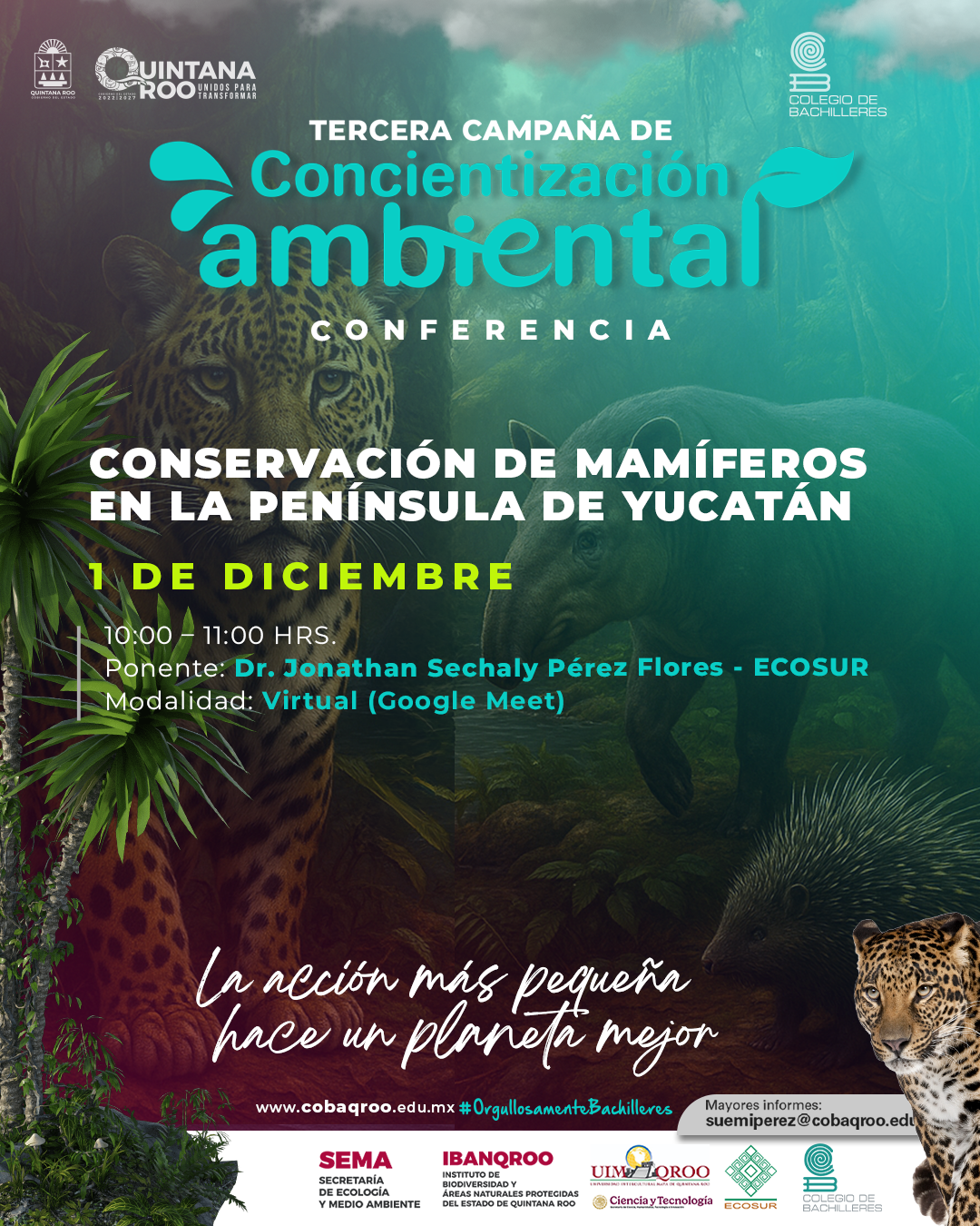 Conservación Mamíferos Yucatán